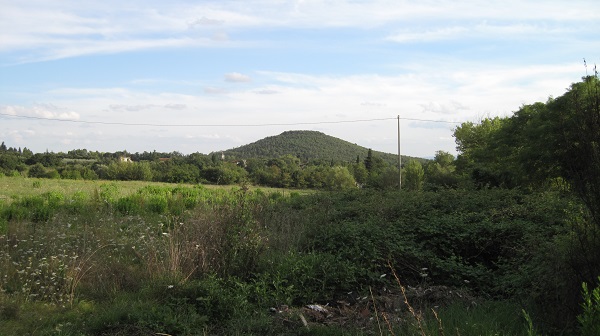 IERI