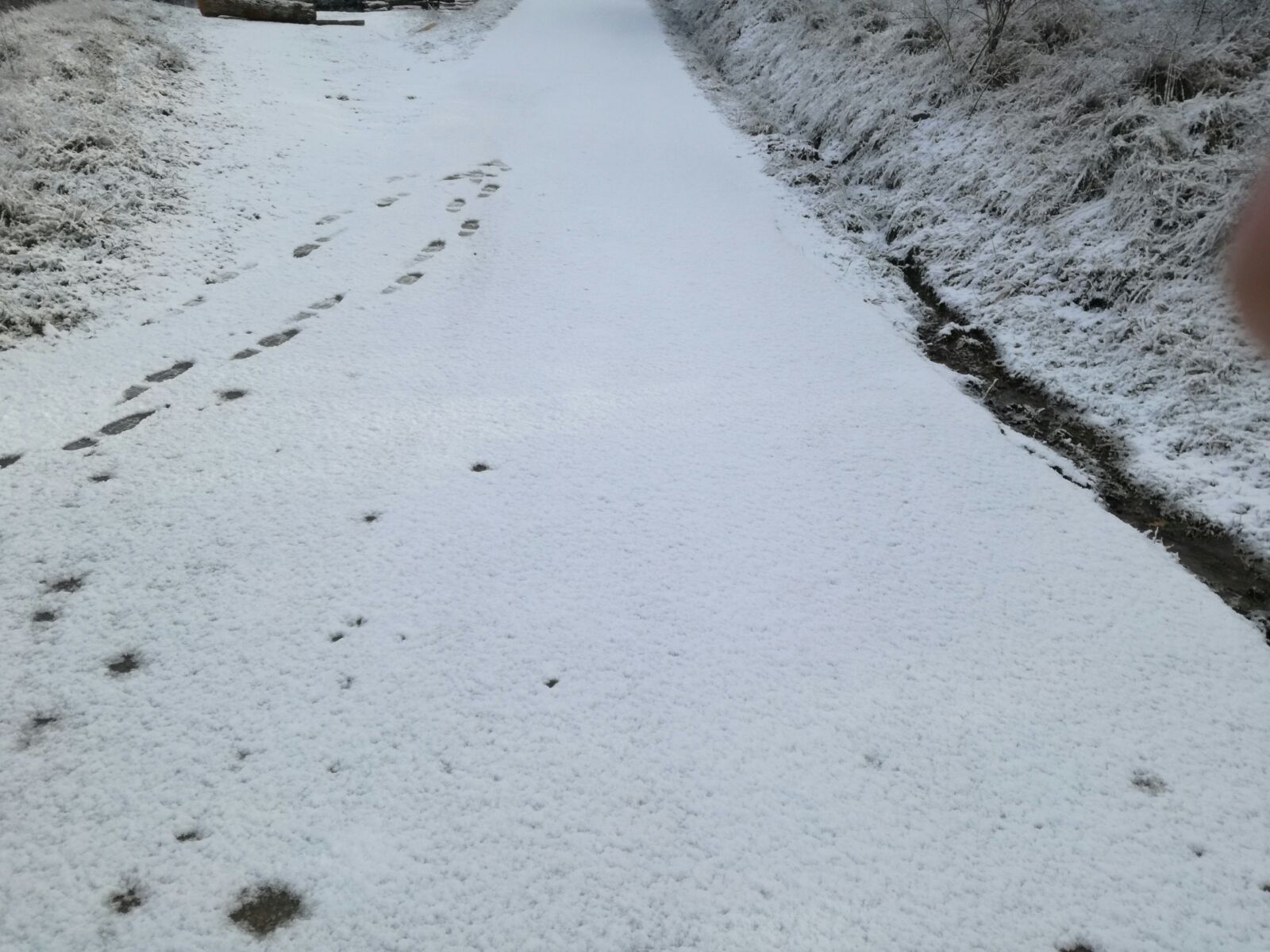 IMG 0071