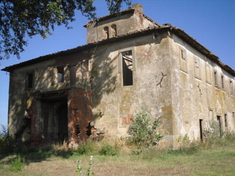 LEOPOLDINA1