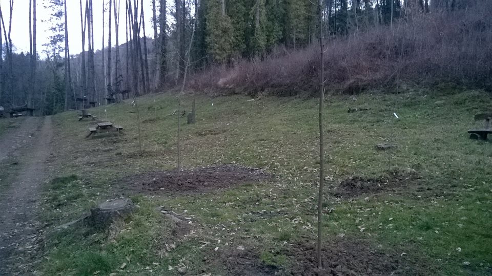 Parco del Canto alla Rana