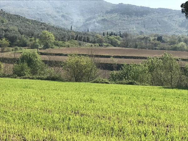 Serritori Oggi