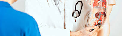 UROLOGIA