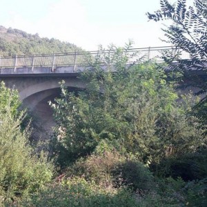 arno rassina 300x300
