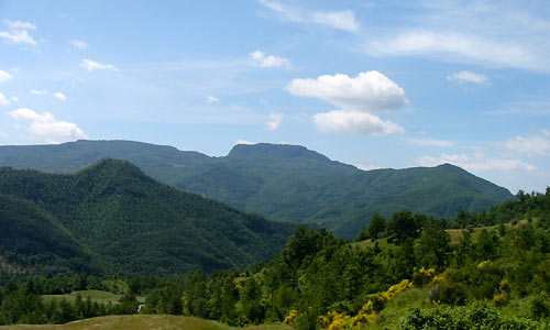 casentino