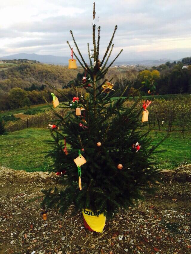 foto alberi natale
