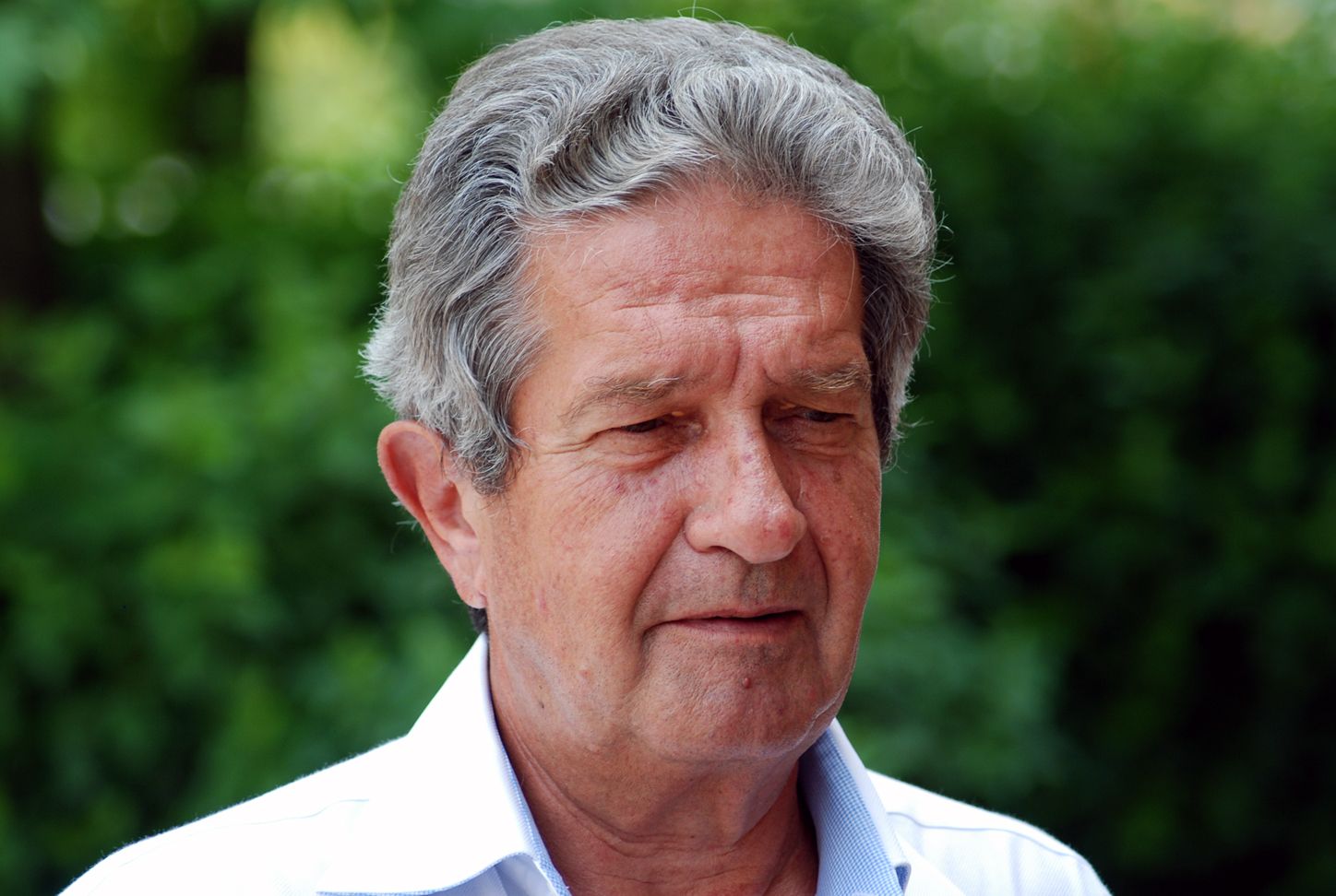 gambassini 2008