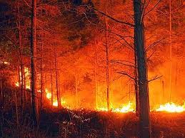 incendio2