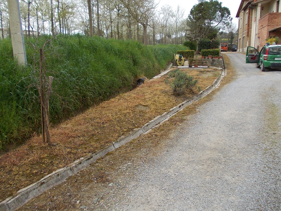 DSCN0343