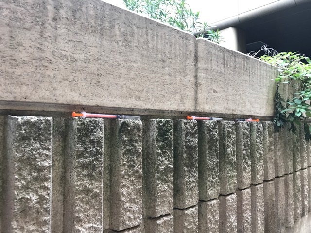 IMG 0387