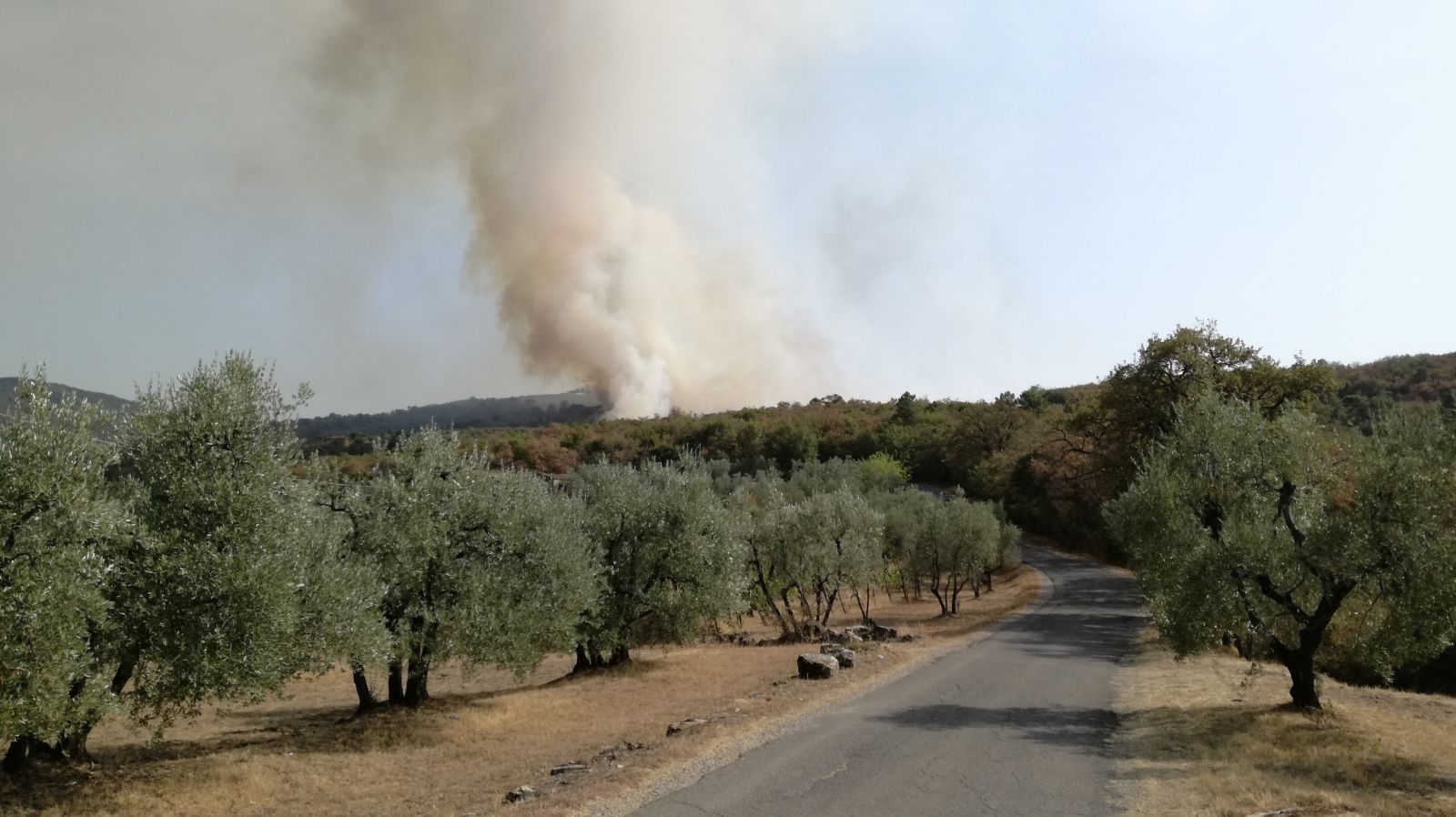 INCENDIO SAN PANCRAZIO2