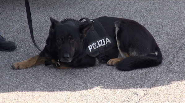 controlli stradale