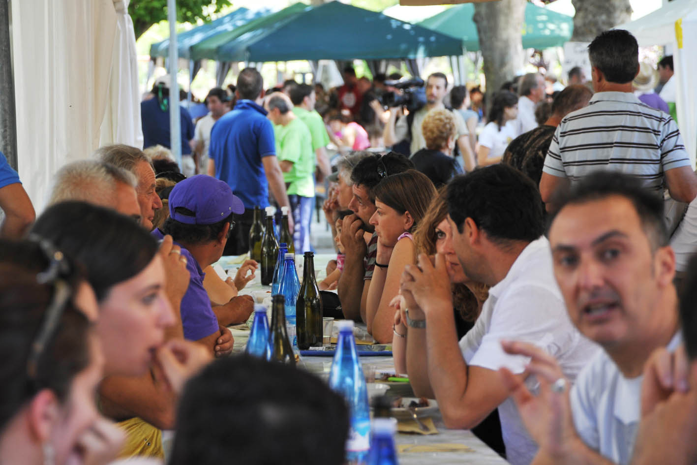 Sagra03
