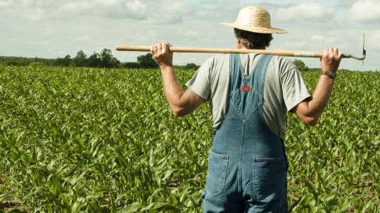 agricoltura