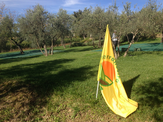 agriturismi