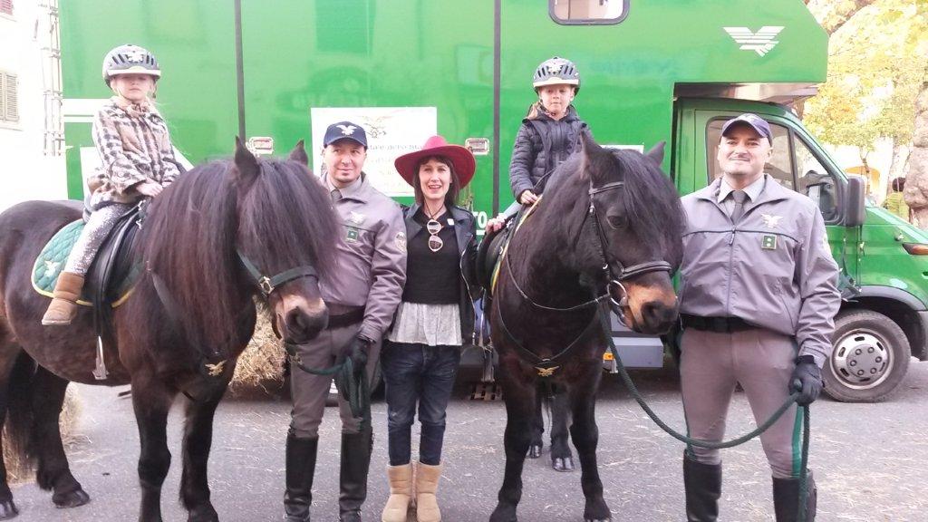 Cavallo3