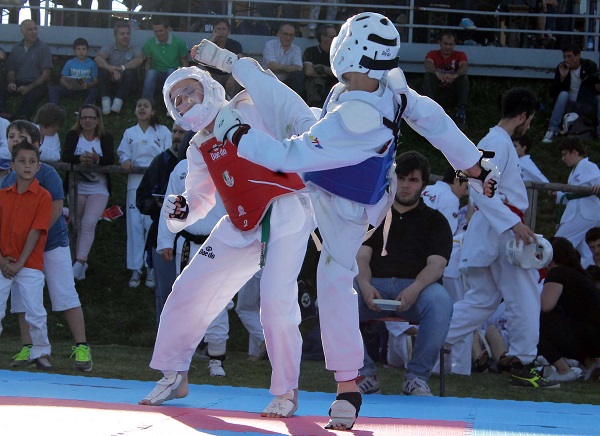 Centro Taekwondo Arezzo Settore giovanile 2016 12