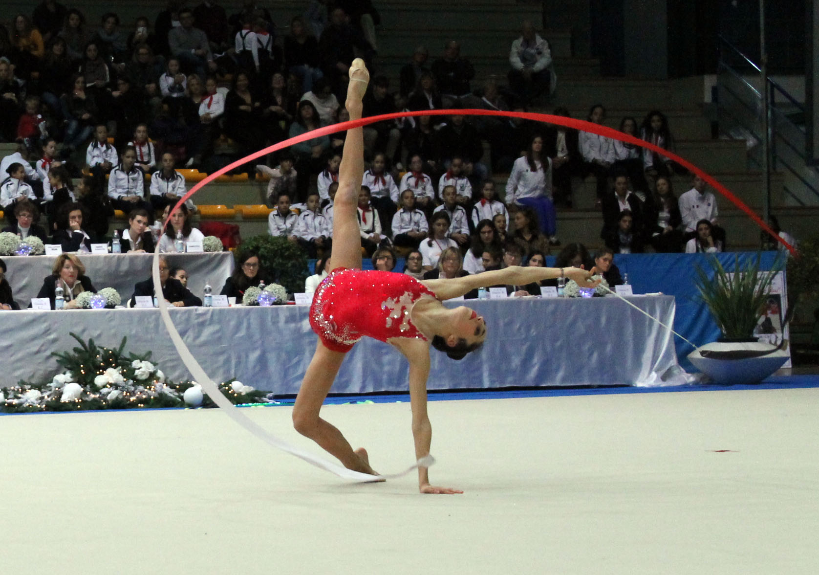 Ginnastica Petrarca Memorial Manola Rosi 2