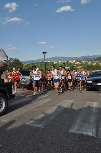 capolona ruscello