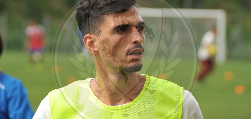 de martino