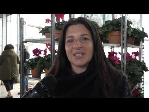 Giornata di approfondimento del Consorzio di Bonifica: difesa del suolo e irrigazione