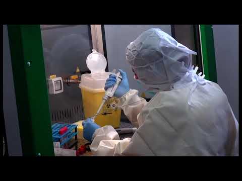 Personale positivo al laboratorio analisi, Asl: 