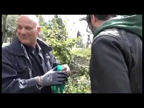 Maxi retata al Pionta, i pusher restano in carcere: la decisione del Riesame