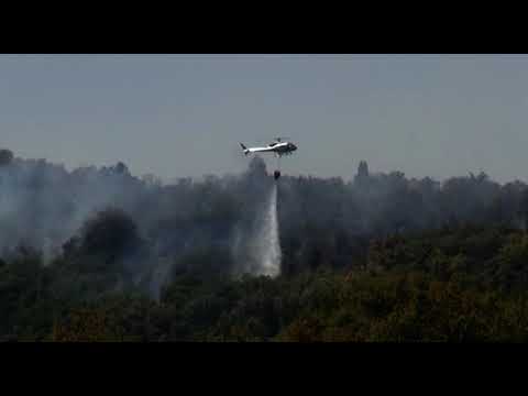 Prevenzione incendi boschivi: dalla Regione oltre un milione