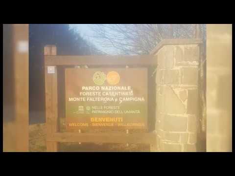 Parco delle Foreste Casentinesi, fucilata contro il cartello all'ingresso