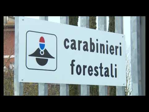 Traffico di oltre 11mila tonnellate di rifiuti pericolosi: un arresto anche ad Arezzo