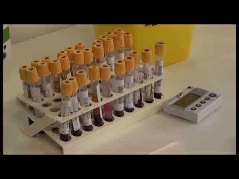 Test sierologici, si allarga la platea dei lavoratori. Ecco dove farli ad Arezzo 