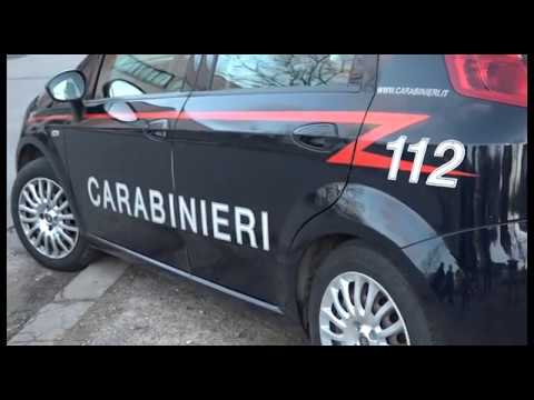 Rapina in banca con trincetto: in quattro si fanno consegnare il denaro e fuggono via