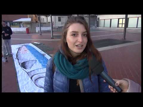Arezzo, sardine pronte ad invadere piazza S.Jacopo: ecco come si stanno preparando