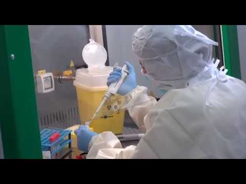 Covid-19. In Toscana al via screening di massa: test sierologici su 400mila persone