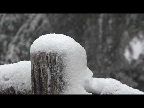 Maltempo, neve in Casentino. Prevista anche nelle prossime ore 