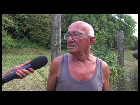Partina(Ar). 21enne