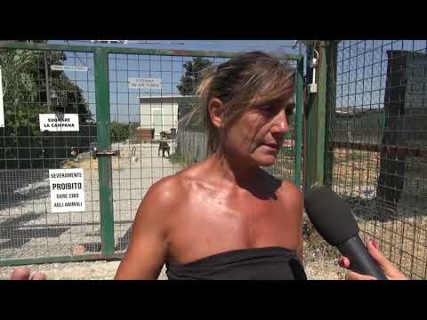 Legata ed abbandonata al cancello del mattatoio, cagnolina trovata senza vita