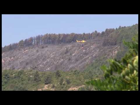 Incendio nella notte a Chiusi della Verna: pineta distrutta dalle fiamme