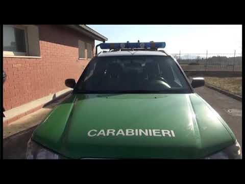 Valdarno, maxi sequestro nell'area di un resort di lusso