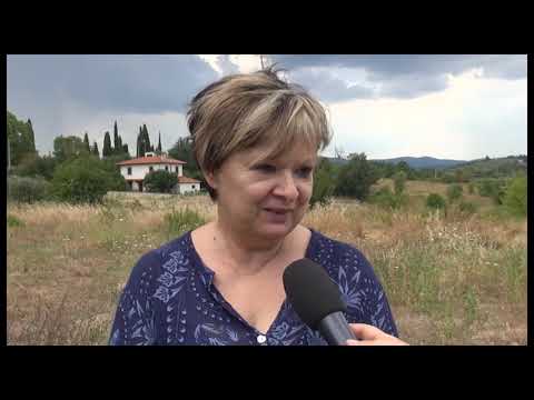 Incuria e degrado nei cimiteri aretini, Rossi e Cornacchini: 