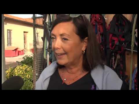 Porte aperte al canile di Arezzo per 