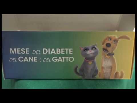 Torna anche ad Arezzo il 