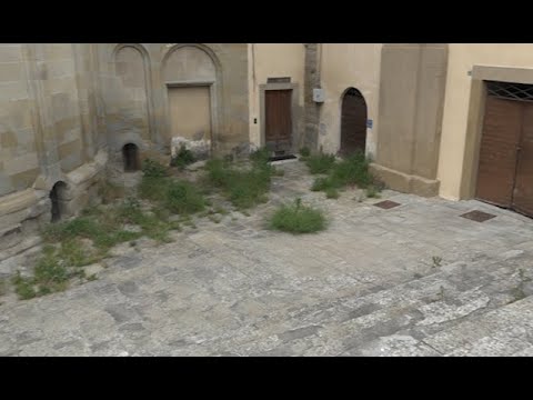 Arezzo. Il verde si 
