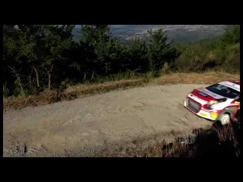 Rally Città di Arezzo-Crete senesi e Valtiberina: vittoria per Paolo Andreucci