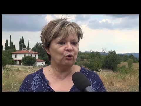 Meri Cornacchini lascia 