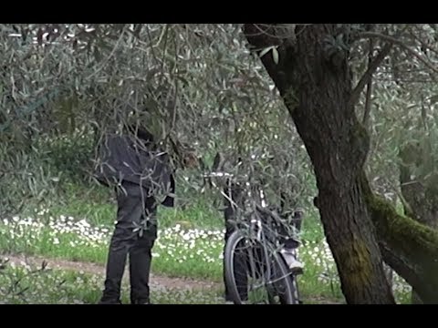 Pionta, ancora consumo e spaccio di droga: il parco sembra comunque più vivibile dopo il blitz