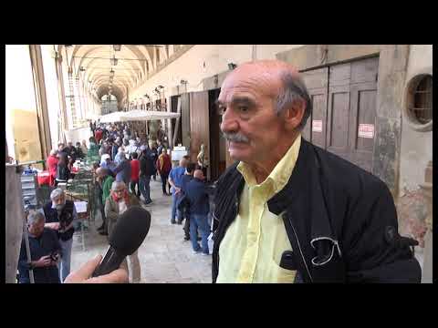 Arezzo, FotoAntiquaria fa il boom in Piazza Grande