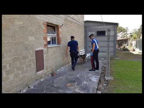 Blitz antidroga in Valdichiana: 24 persone controllate dai Carabinieri