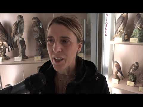 Ciceroni “speciali” al museo della Fauna Selvatica: il progetto “Mettiamoci in Mostra”