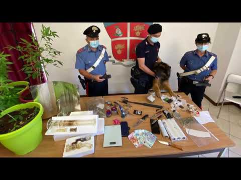 Droga, coltelli, scacciacani e taser in casa: un arresto e una denuncia a Bibbiena