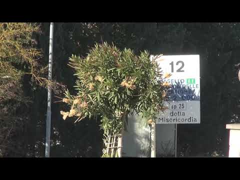 Banda di ladri nelle case con il reddito di cittadinanza, due erano nella banda dei finti poliziotti